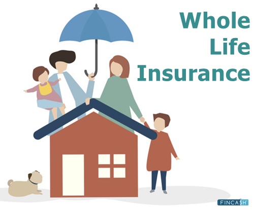 Whole Life Insurance